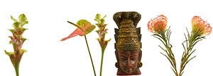 %_tempFileNameVishnu%20und%20blumen%