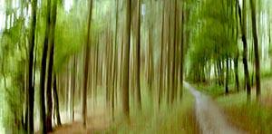 %_tempFileNameWaldweg%20bewegt%