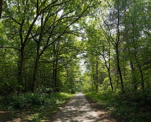 %_tempFileNameWeg%20Knechtsteden%