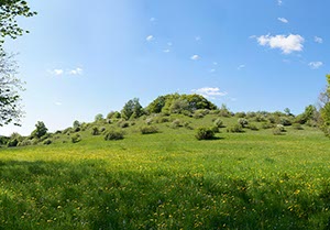 %_tempFileNameZiegenknochen%202%