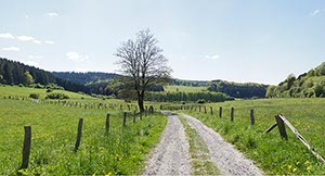 %_tempFileNameZiegenknochen%203%