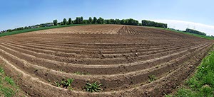 %_tempFileNameacker%20rund%