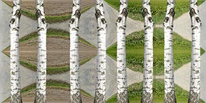 %_tempFileNameackerwege%20und%20birken%