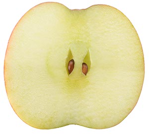 %_tempFileNameapfel%