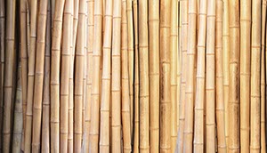 %_tempFileNamebambus%