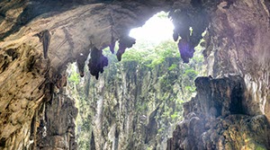 %_tempFileNamebatu_02_KU%