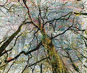 %_tempFileNamebaum%20plan%20platine%