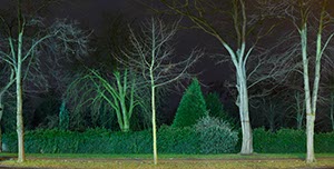 %_tempFileNamebaum%20weg%20005%