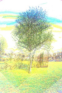 %_tempFileNamebaum2%