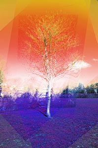 %_tempFileNamebaum4%