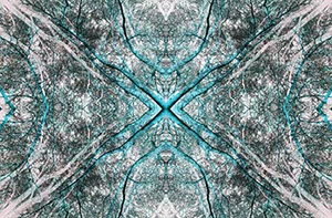 %_tempFileNamebaumkronen%20blau%