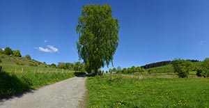 %_tempFileNamebaumweg%202%