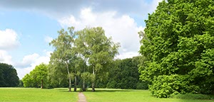 %_tempFileNamebirken%20qadro%