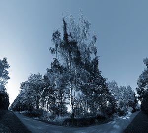 %_tempFileNamebirkenwaldweg%20SW%20getont%20bleu%