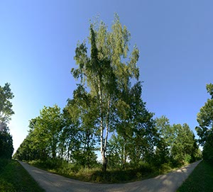 %_tempFileNamebirkenwaldweg%