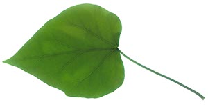 %_tempFileNameblatt%20D%20006%