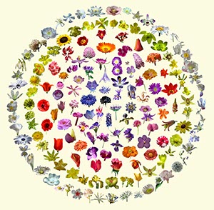 %_tempFileNamebogen_2%