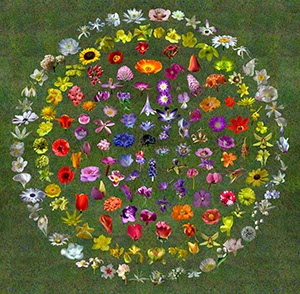 %_tempFileNamebogen_3%