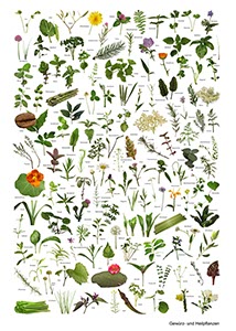 %_tempFileNamebogen_8%