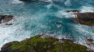 %_tempFileNamebrandung%20Vo%