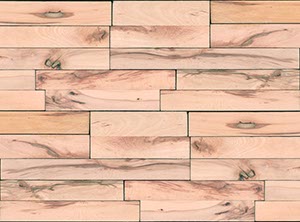 %_tempFileNamebuchenbalken%