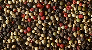 %_tempFileNamebunter%20pfeffer%