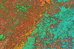 %_tempFileNamebuntes%20chaos%