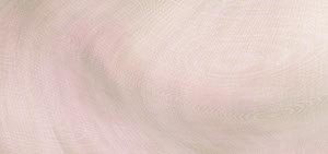 %_tempFileNamechaoslinien%