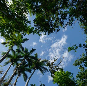 %_tempFileNamecuba_sky%