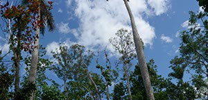 %_tempFileNamecuba_sky_2%