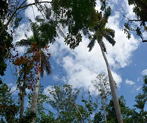 %_tempFileNamecuba_sky_3%