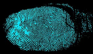 %_tempFileNamedaumenabdruck%20blau%