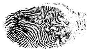 %_tempFileNamedaumenabdruck%