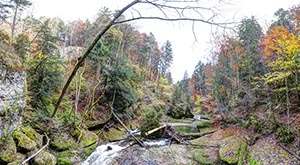 %_tempFileNameeistobel%