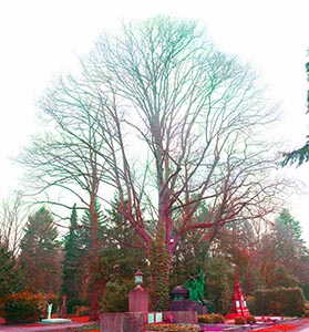 %_tempFileNamefriedhof%20bunt%