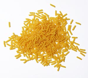 %_tempFileNamefusilli%