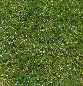 %_tempFileNamegaensebluemchen%20v%