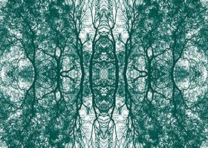 %_tempFileNamegeaest_MU%