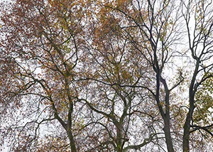 %_tempFileNamegeaest_N%