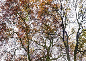 %_tempFileNamegeaest__hell%