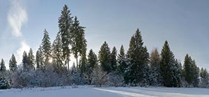 %_tempFileNamegegenlichtwald%