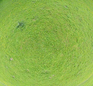 %_tempFileNamegelbe%20blumenwiese%