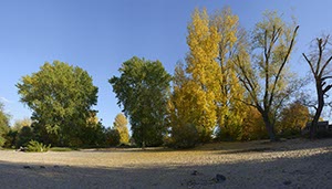 %_tempFileNamegelber_hebst_sand%