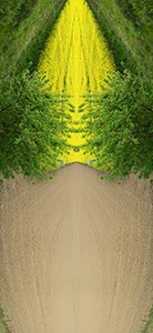 %_tempFileNamegespiegelter%20acker%