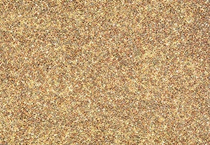 %_tempFileNamegetreidemischung%