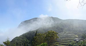 %_tempFileNamegomera%2039%