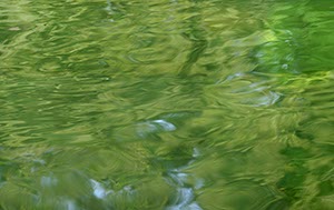 %_tempFileNamegruene%20wasserwirbel%20%