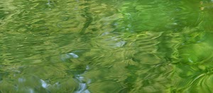 %_tempFileNamegruenes%20Wasser%