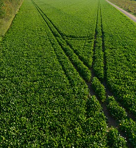 %_tempFileNamegrunes%20feld%20hoch%