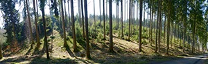 %_tempFileNamegswendwald%20006%